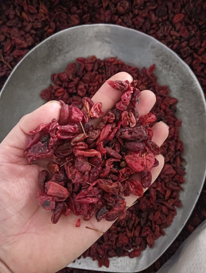 山萸肉山茱萸实物实拍现货供应批发各种中药材