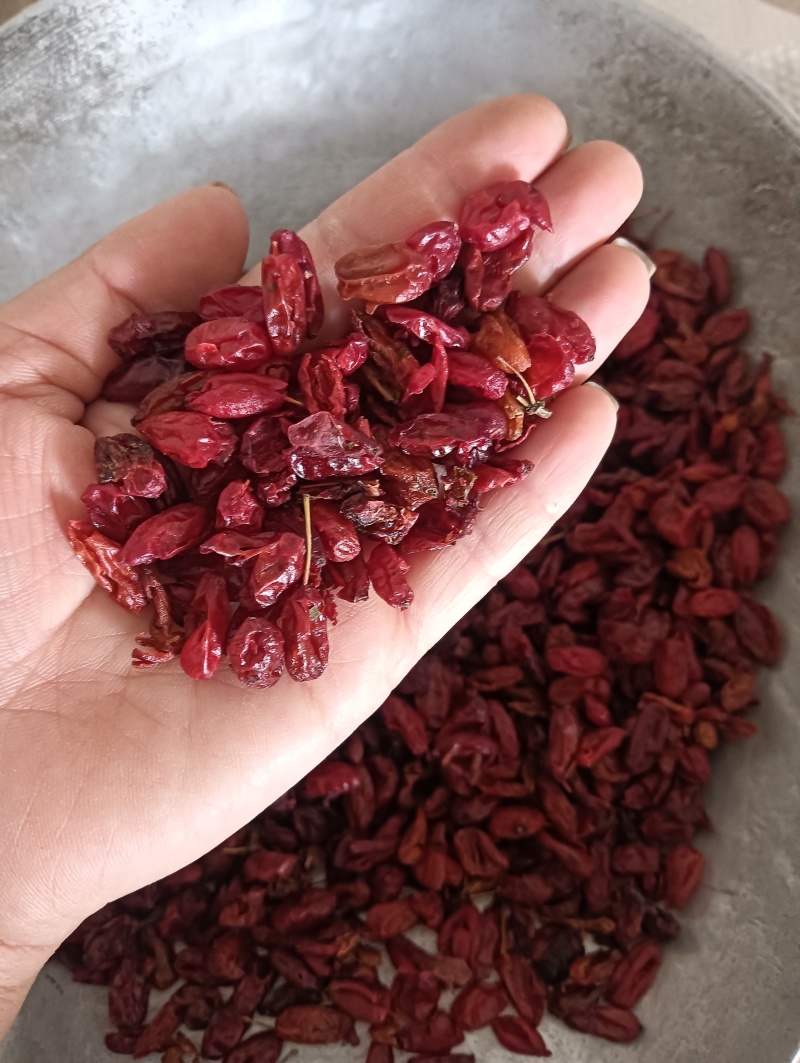 山萸肉山茱萸实物实拍现货供应批发各种中药材