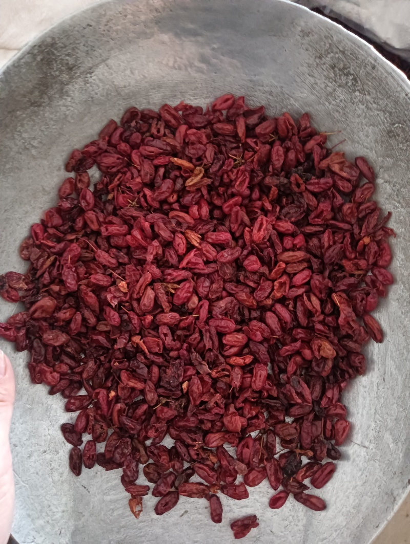 山萸肉山茱萸实物实拍现货供应批发各种中药材