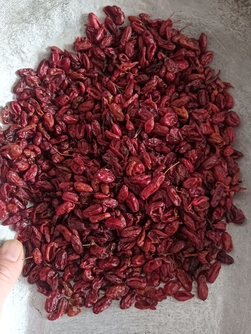 山萸肉山茱萸实物实拍现货供应批发各种中药材