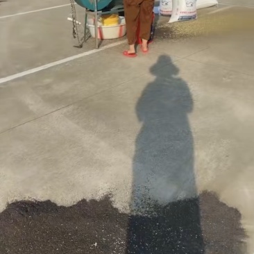 菜籽