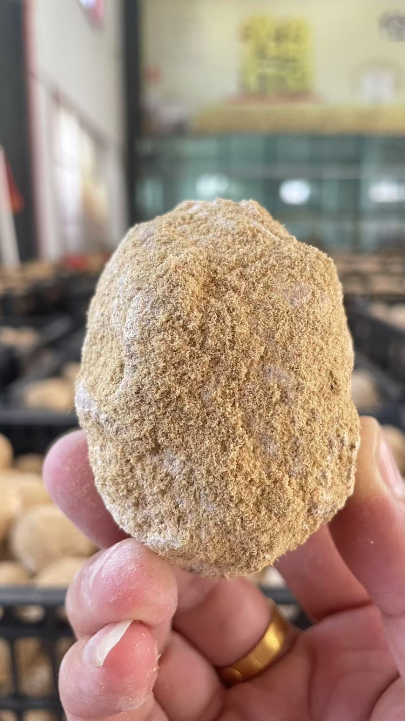河南溏心变蛋，大量有货，支持电商，线下市场，一件代发