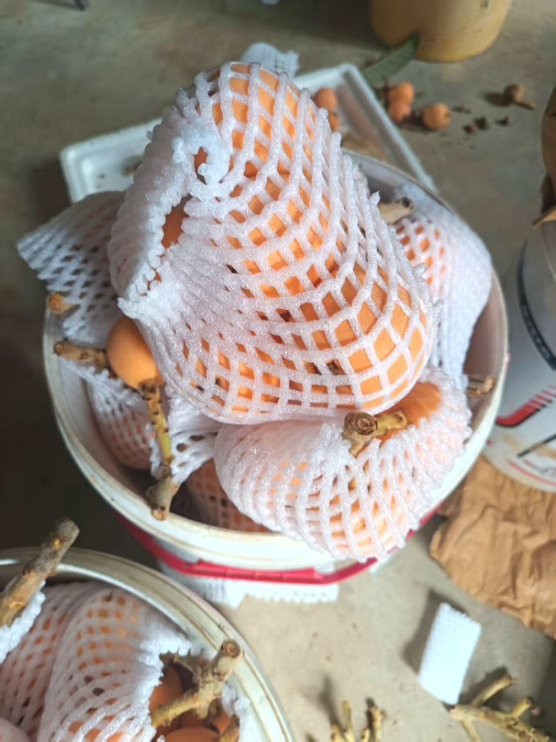 枇杷，产地直发，货源充足，可视频看货，量大从优