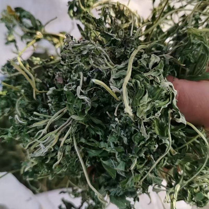 益母草，益母草纯叶