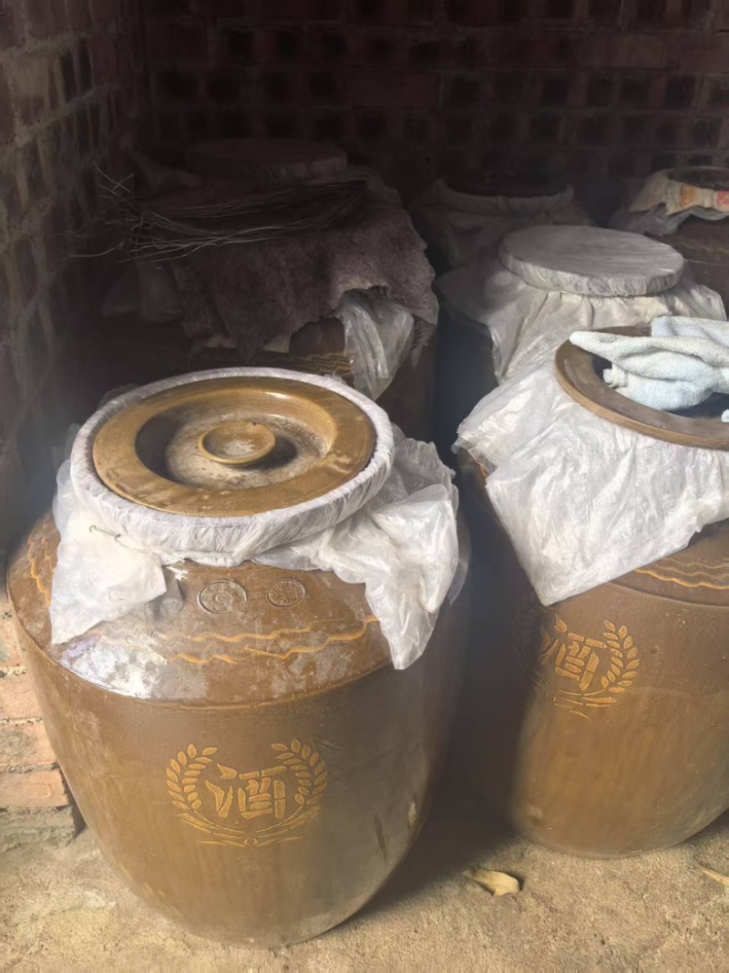 精品玉米酒大量供应，诚信经营，纯粮酿造，欢迎咨询