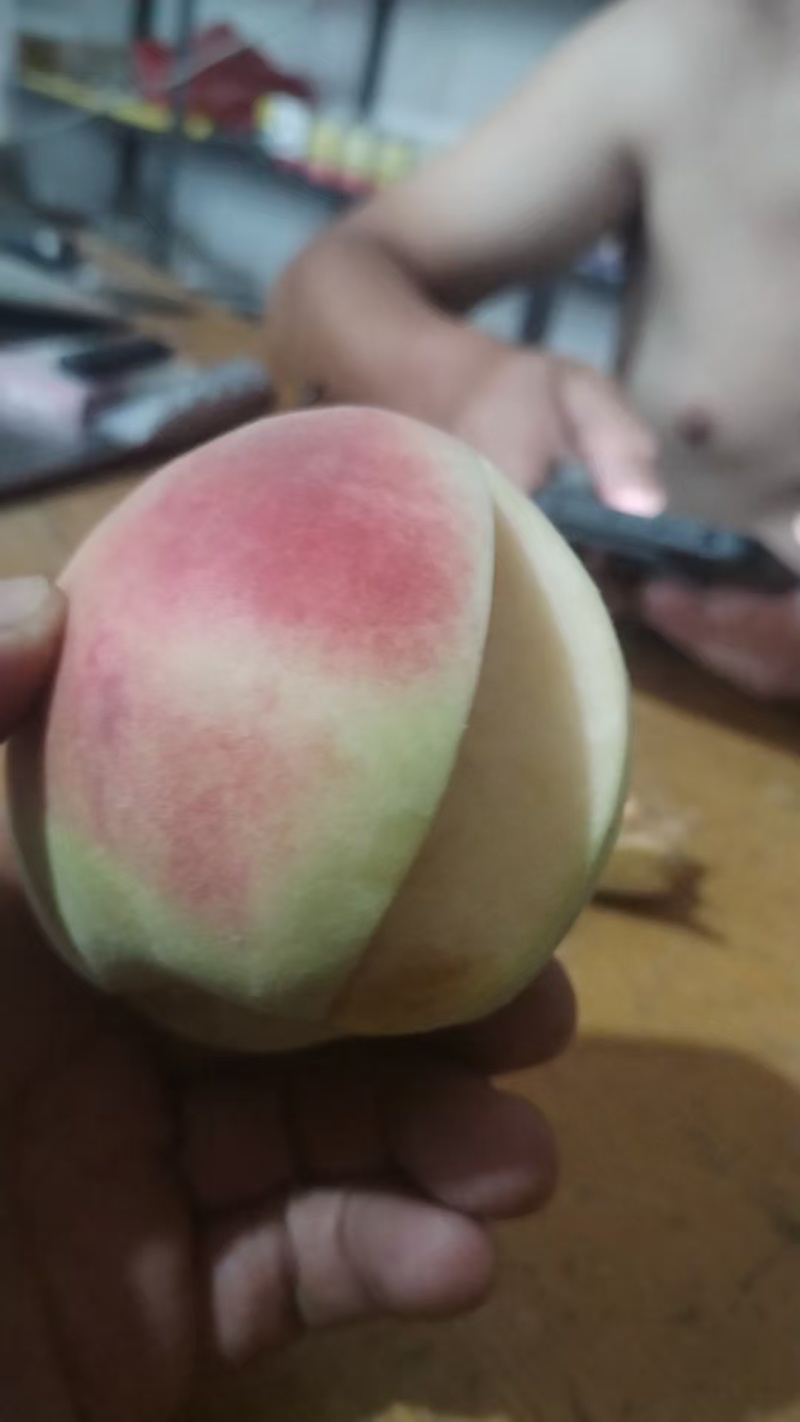 河北突围毛桃/邢台毛桃/质优价廉/基地代发/欢迎来电咨询