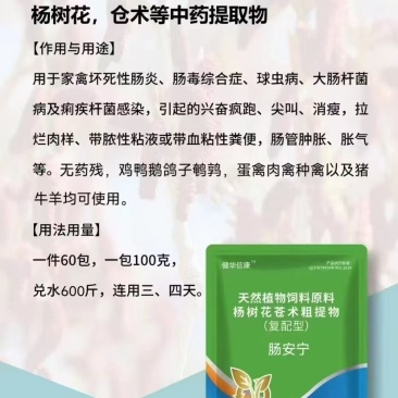 肠安宁