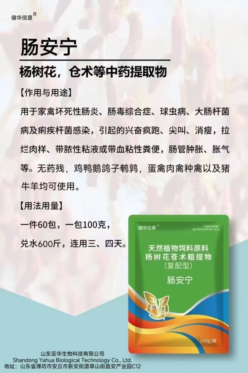 肠安宁