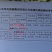辉煌圣女果寿光基地