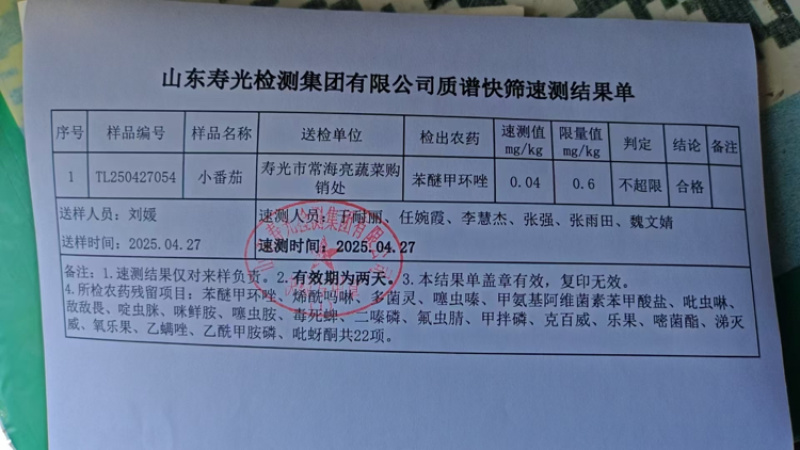 辉煌圣女果寿光基地