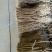 甘草，乌拉尔红皮甘草出口标准头径1.5/2.0尾径0.8