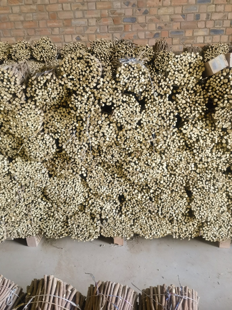 甘草，乌拉尔红皮甘草出口标准头径1.5/2.0尾径0.8