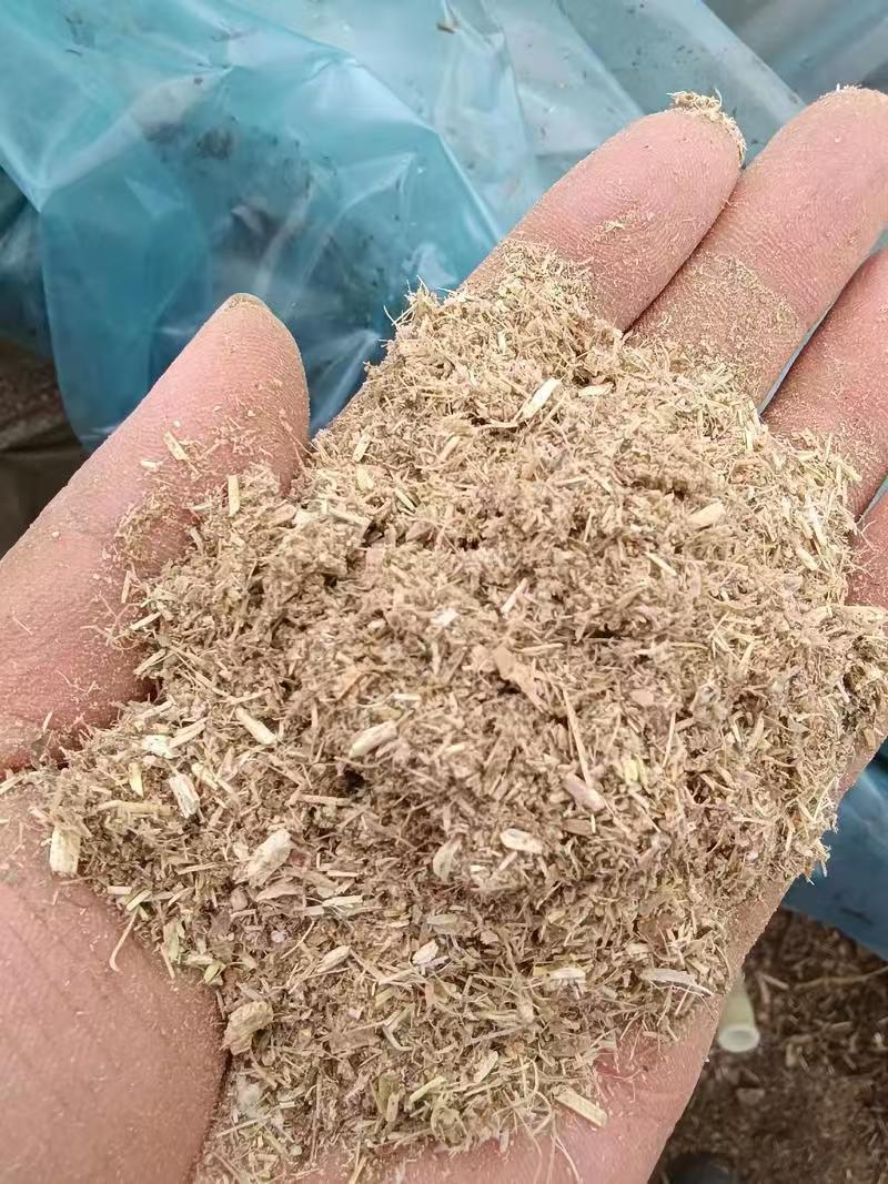 纯豆草粉河南商丘基地直发对接全国一条龙服务欢迎来电