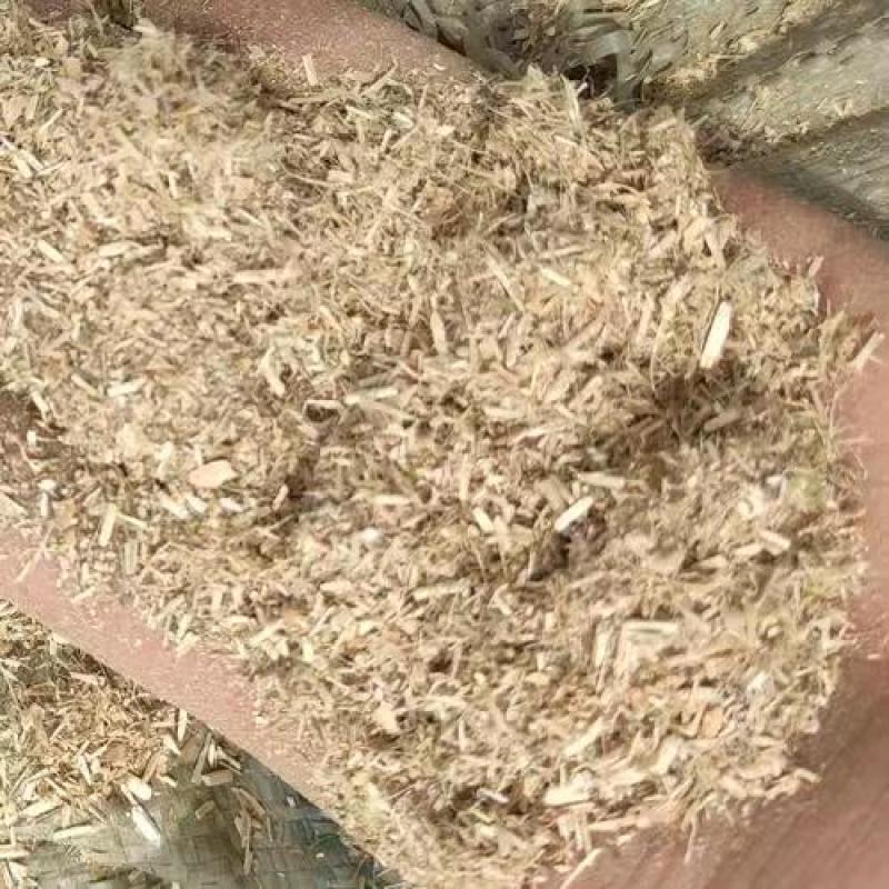 河南豆桔草粉基地直发保质保量一条龙服务量大从优欢迎来电