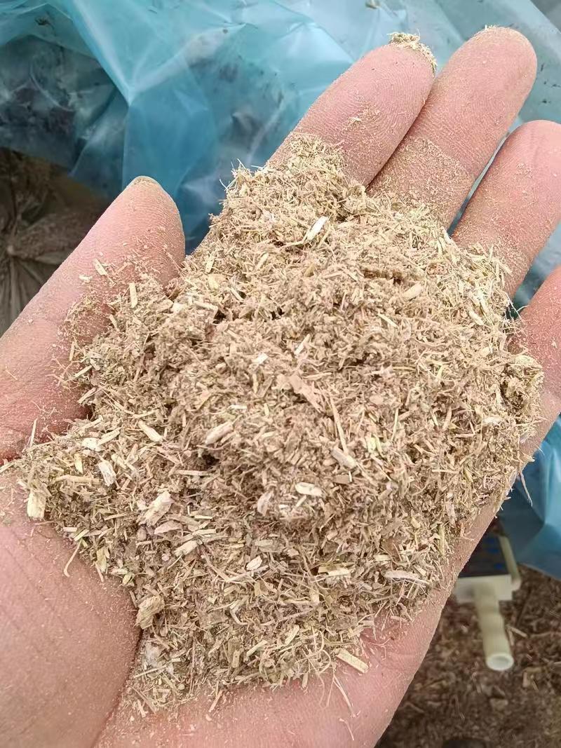 河南豆桔草粉基地直发保质保量一条龙服务量大从优欢迎来电