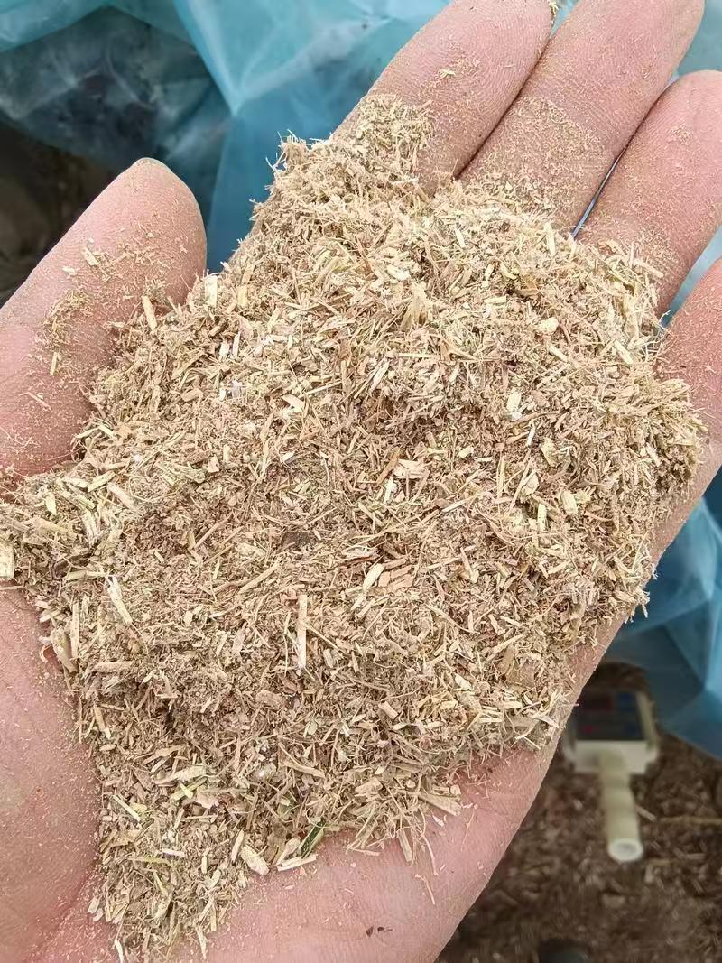 河南豆桔草粉基地直发保质保量一条龙服务量大从优欢迎来电