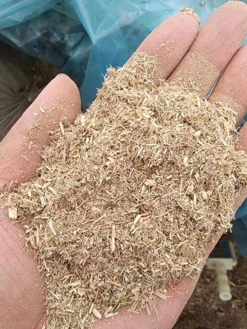 河南豆桔草粉基地直发保质保量一条龙服务量大从优欢迎来电