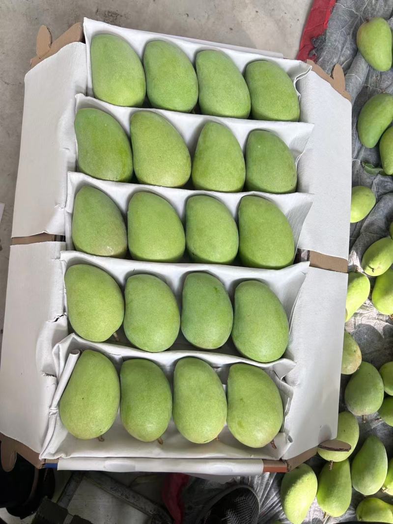 云南精品小台芒，电商，工厂大量对接