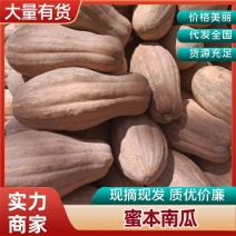 蜜本南瓜产地一手货源，规格齐全，可视频看货代发全国客商