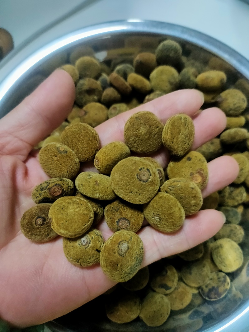 正宗化州橘红胎果饼