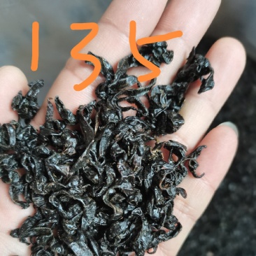 水蛭