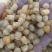 干贝粒200粒到1000粒不等，一手货源，品质保证