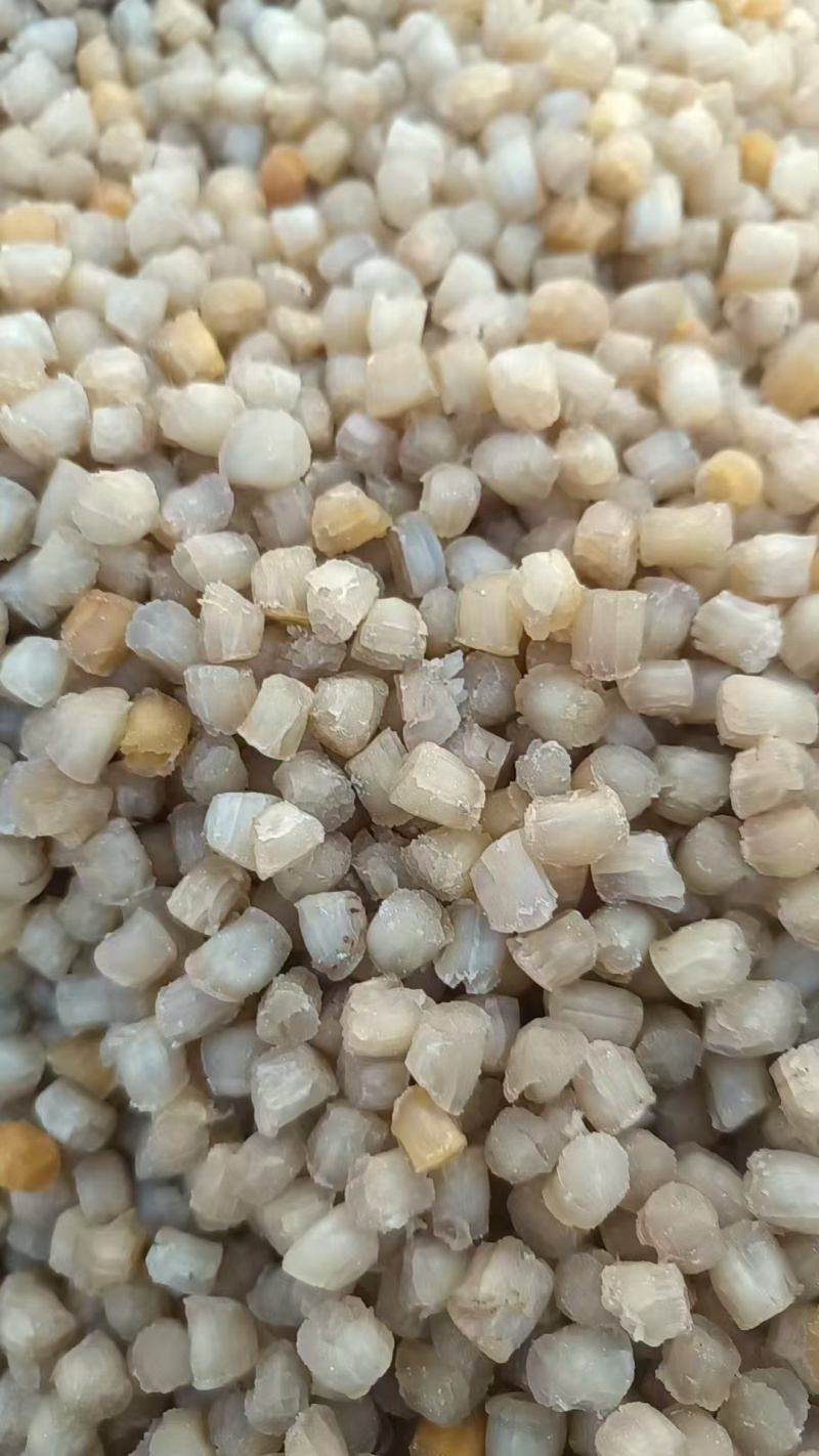 干贝粒200粒到1000粒不等，一手货源，品质保证