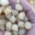 干贝粒200粒到1000粒不等，一手货源，品质保证