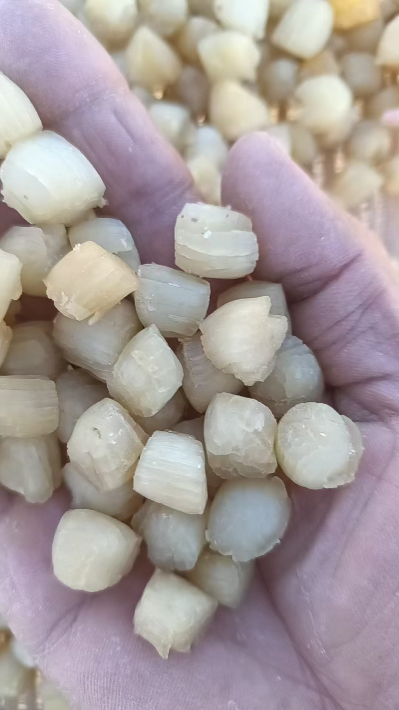 干贝粒200粒到1000粒不等，一手货源，品质保证