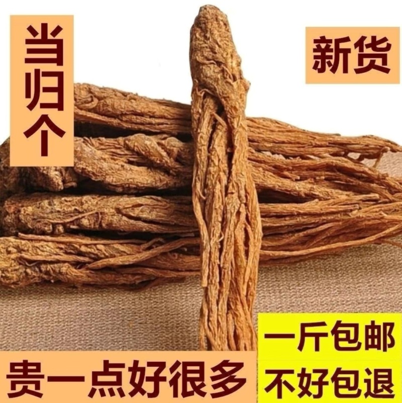 甘肃岷县无硫精品当归产地直销全国可发价格优惠正品保障
