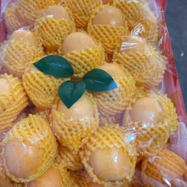 枇杷优品果业为你打造高端，为你打造知名品牌的果业，找代办