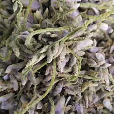 冷冻葛花紫藤花蒸菜特色菜食用