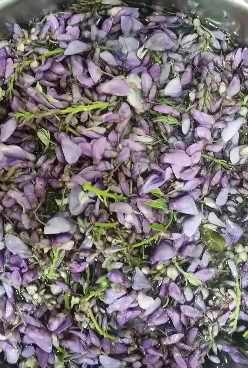 冷冻葛花紫藤花蒸菜特色菜食用