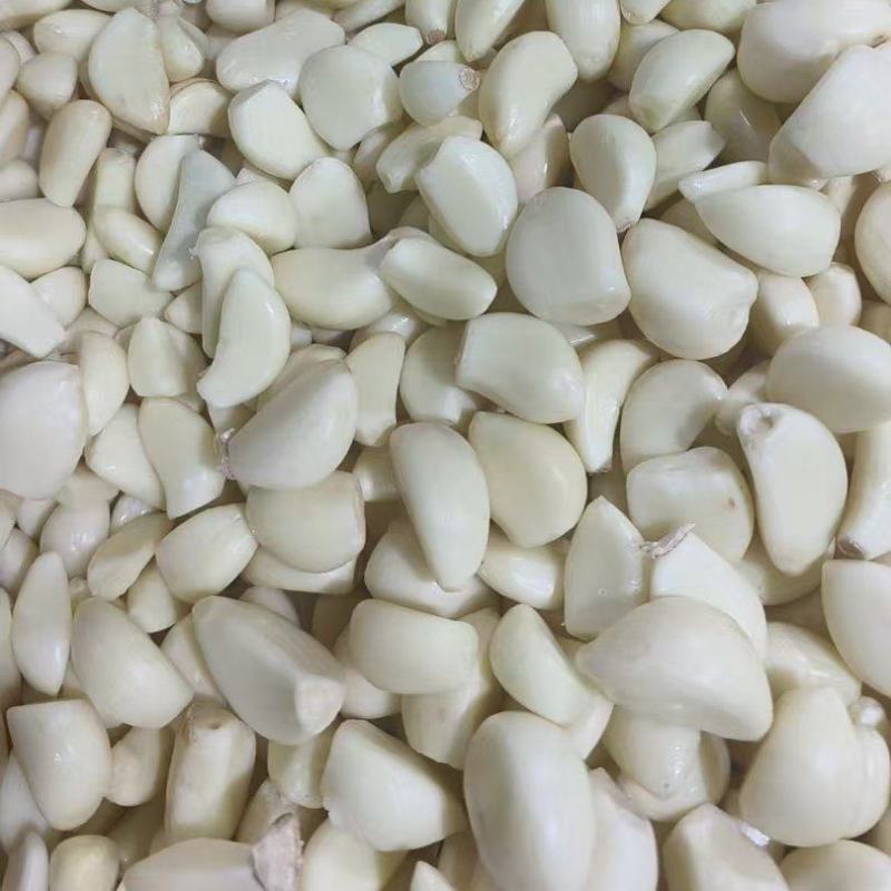 山东精品蒜米可视频发货量大从优品质保证欢迎进店咨