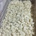山东精品大蒜蒜米量大从优可装车随时发货欢迎进店咨