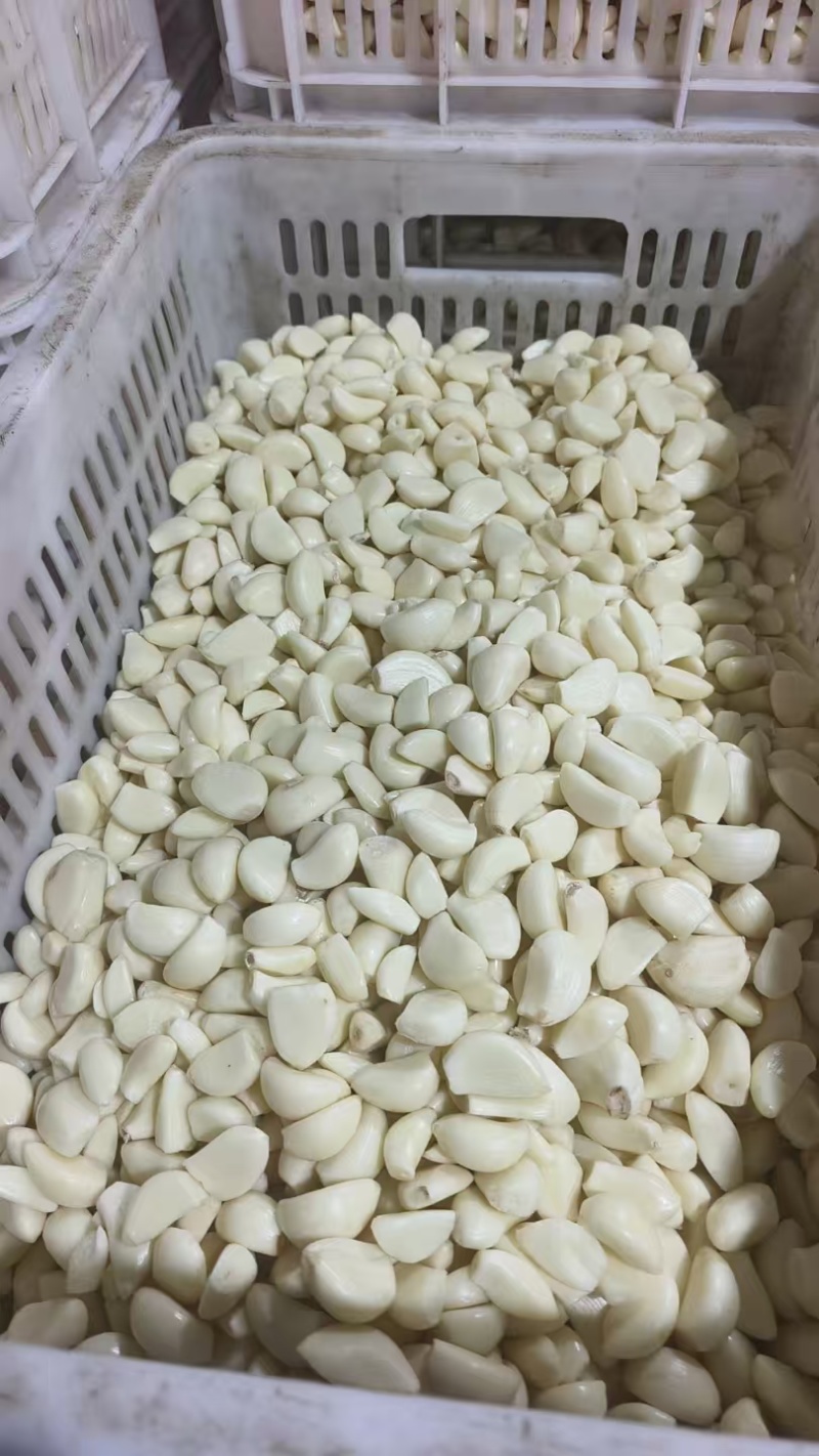 山东精品大蒜蒜米量大从优可装车随时发货欢迎进店咨