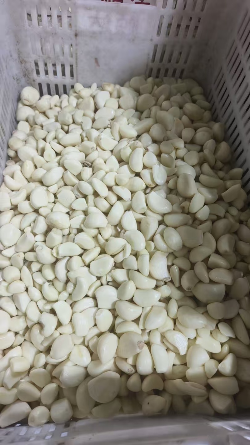山东精品大蒜蒜米量大从优可装车随时发货欢迎进店咨