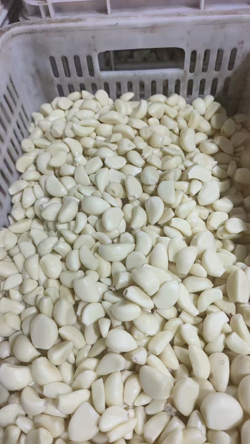 山东精品大蒜蒜米量大从优可装车随时发货欢迎进店咨