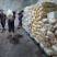 山东精品大蒜蒜米量大从优可装车随时发货欢迎进店咨