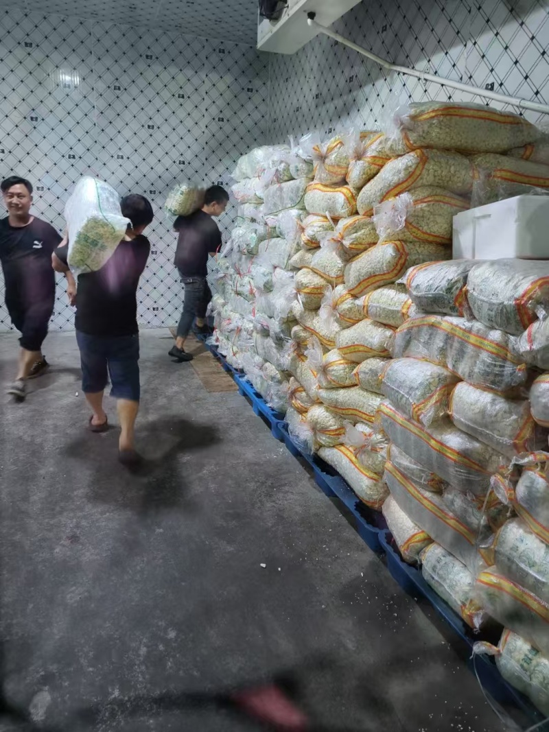 山东精品大蒜蒜米量大从优可装车随时发货欢迎进店咨