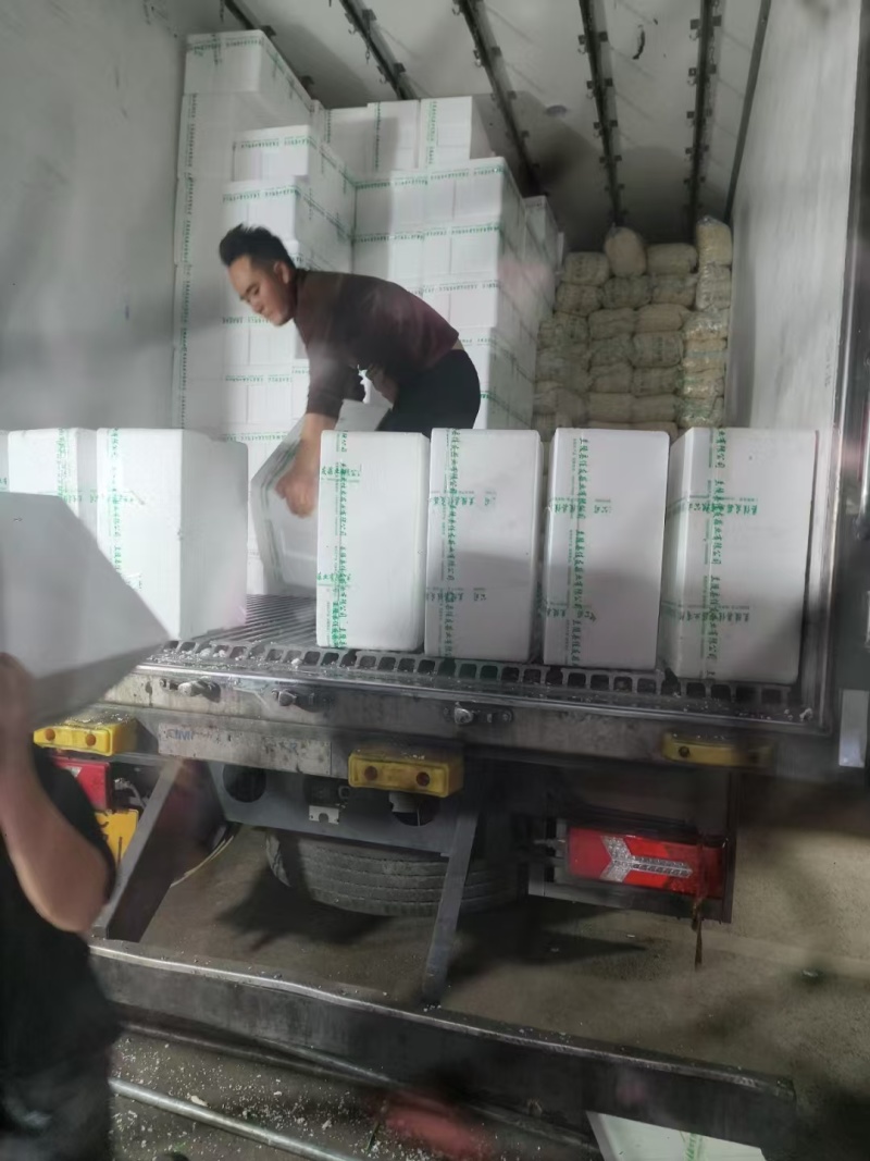 山东精品大蒜蒜米量大从优可装车随时发货欢迎进店咨