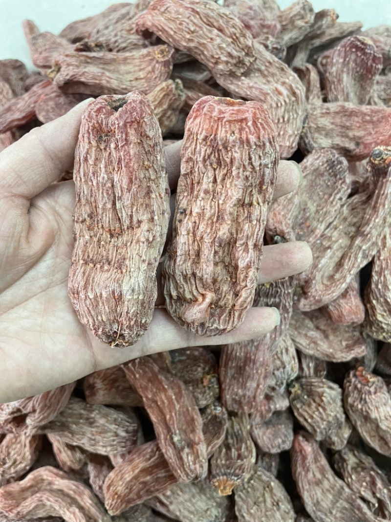 红天麻大货批发15个左右500克