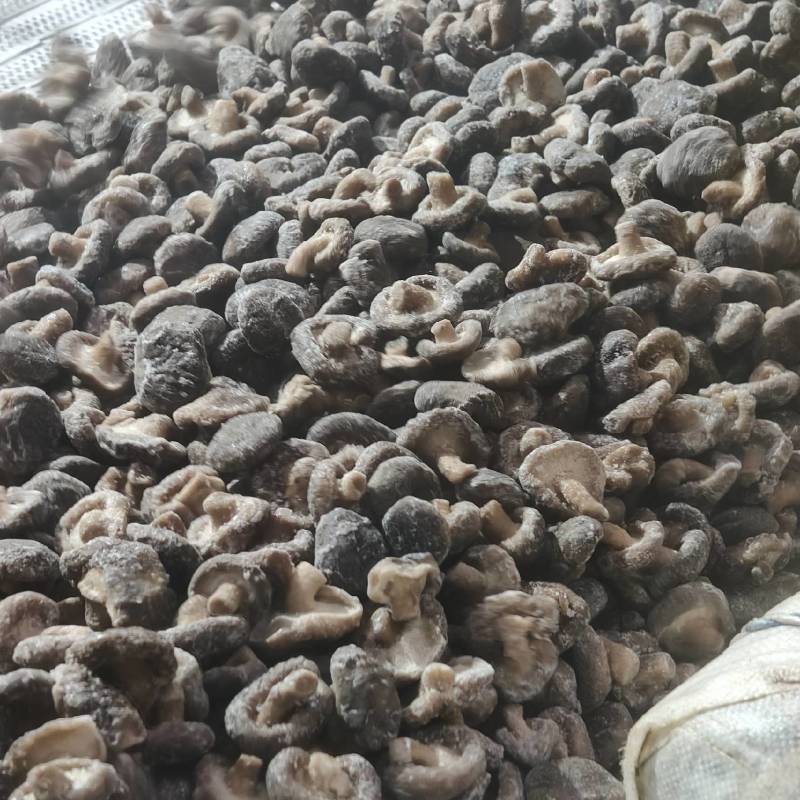 速冻香菇，真空油炸香菇脆专用原料