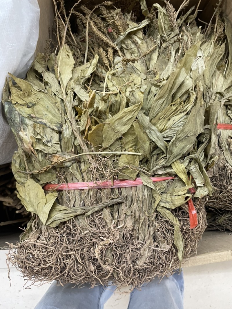见血清大货批发