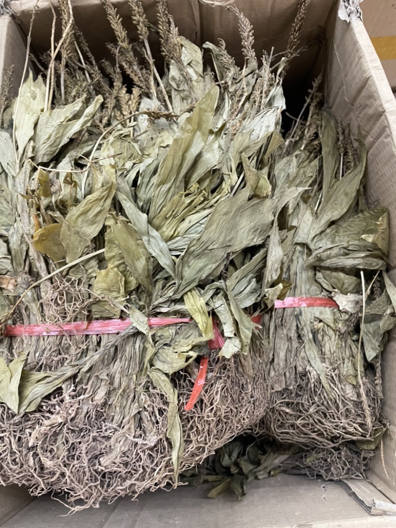 见血清大货批发