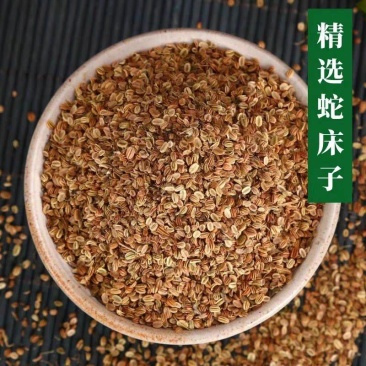 蛇床子无硫批发中药材原料批发欢迎留言订购各种规格都有批发