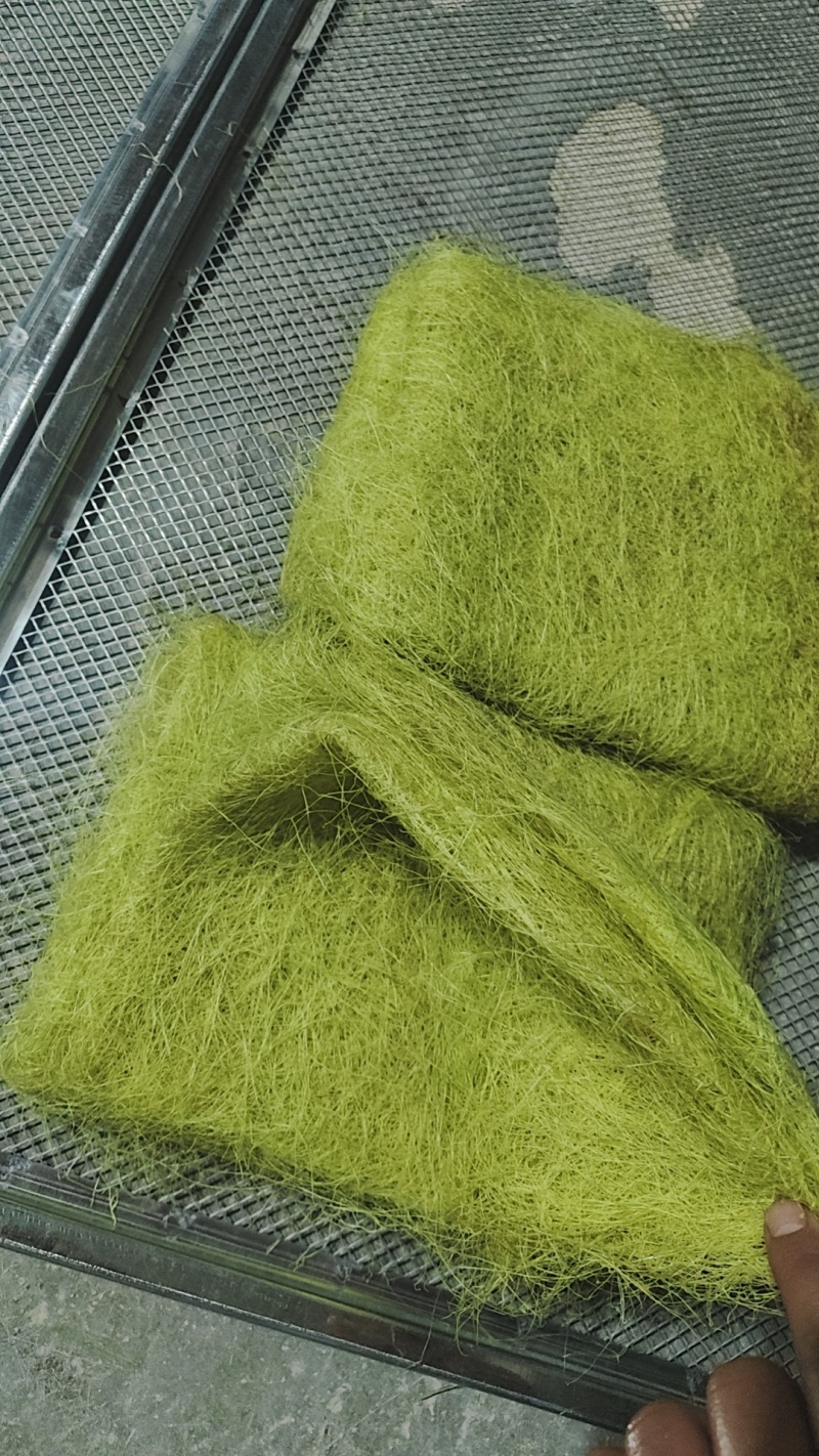 玉米笋嫩须晒干