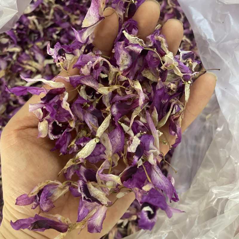 紫色石斛花大货批发