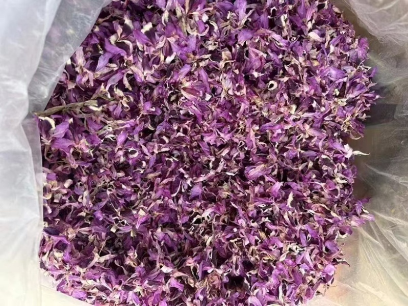 紫色石斛花大货批发