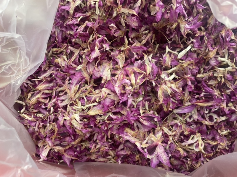 紫色石斛花大货批发